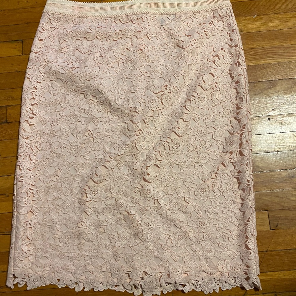 Ann Taylor blush skirt